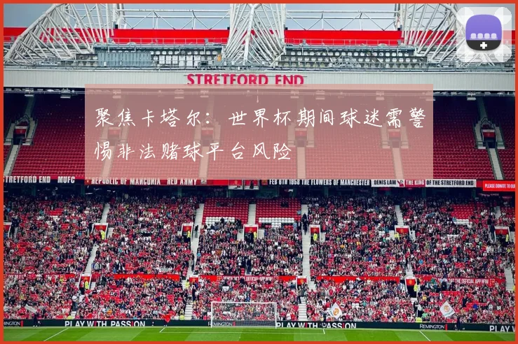 聚焦卡塔尔：世界杯期间球迷需警惕非法赌球平台风险