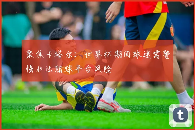 聚焦卡塔尔：世界杯期间球迷需警惕非法赌球平台风险