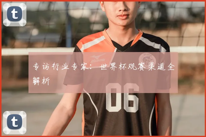专访行业专家:世界杯观赛渠道全解析