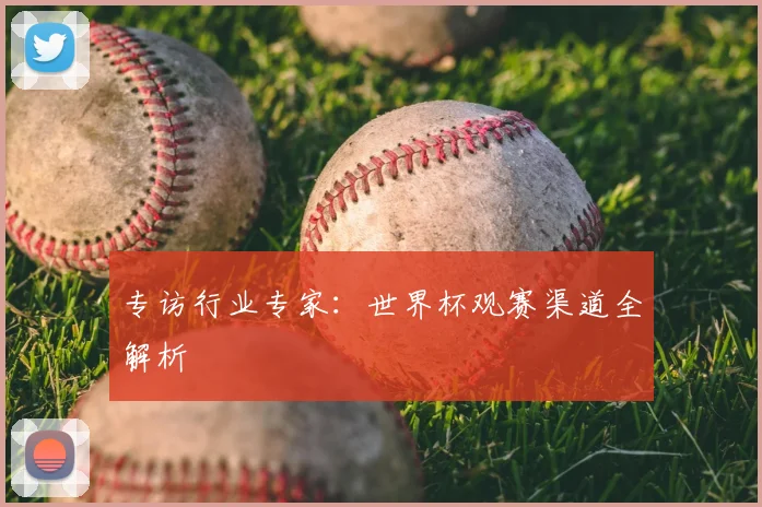 专访行业专家:世界杯观赛渠道全解析