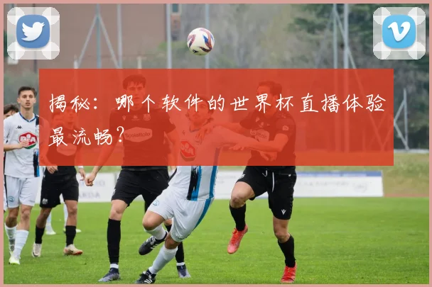 揭秘:哪个软件的世界杯直播体验最流畅?
