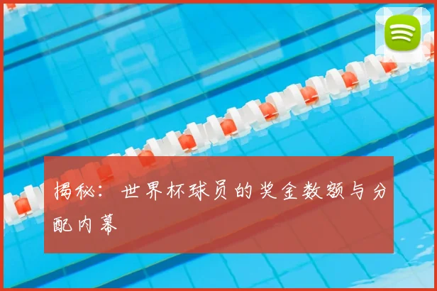 揭秘：世界杯球员的奖金数额与分配内幕